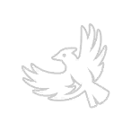 Dancing with the Bones